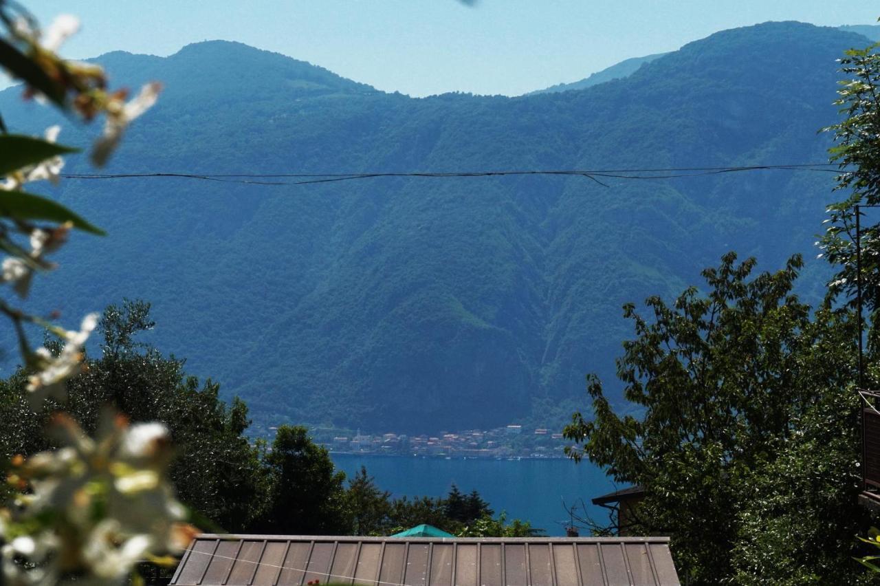 La Dimora Del Viandante - Como Lake Mandello del Lario Eksteriør billede